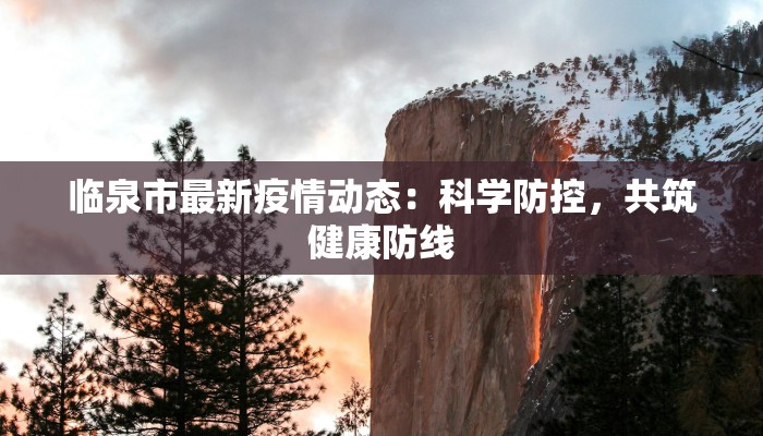临泉市最新疫情动态：科学防控，共筑健康防线