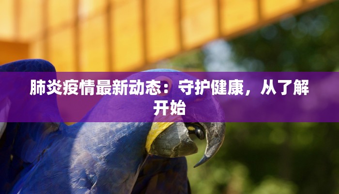 宁夏石塘最新疫情防控：守护家园，科学同行