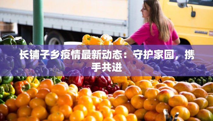 长铺子乡疫情最新动态：守护家园，携手共进