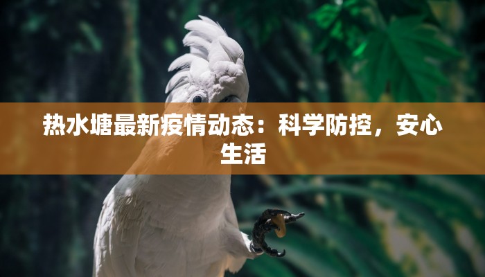 舞动梦想，绽放青春——走进焦作舞蹈学校