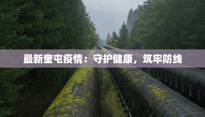 包钢最新疫情：守护钢铁脊梁，筑牢健康防线