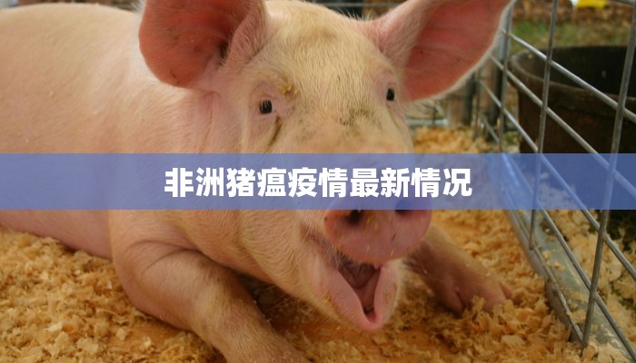 上海七日疫情最新情况