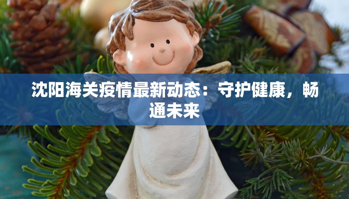 沈阳海关疫情最新动态：守护健康，畅通未来