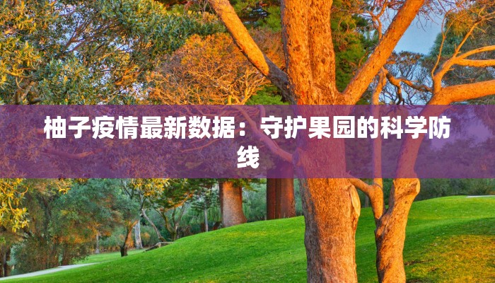 邢台爆料最新疫情