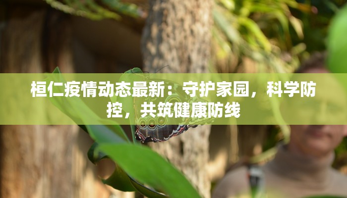 桓仁疫情动态最新：守护家园，科学防控，共筑健康防线