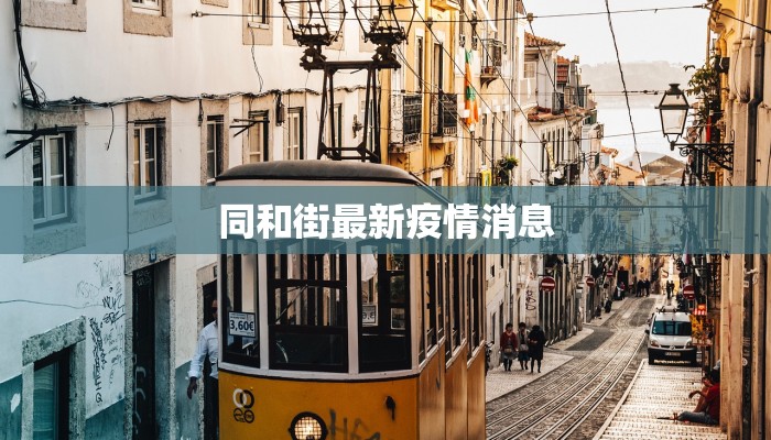 公交免费最新疫情：绿色出行新机遇，健康生活更安心