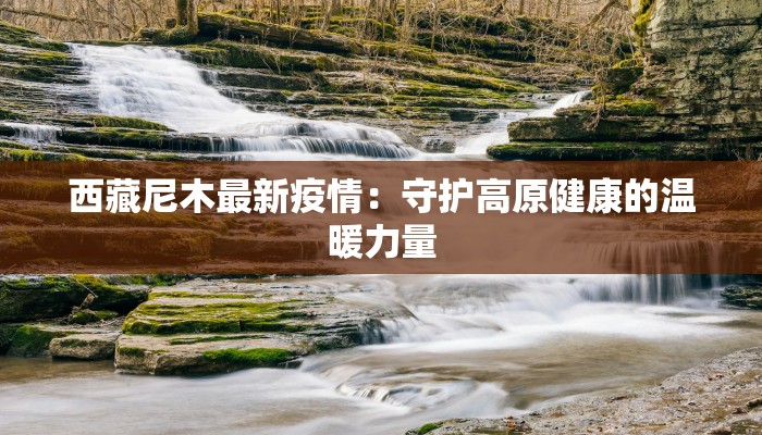 澄城区最新通知疫情：科学防控，守护健康家园