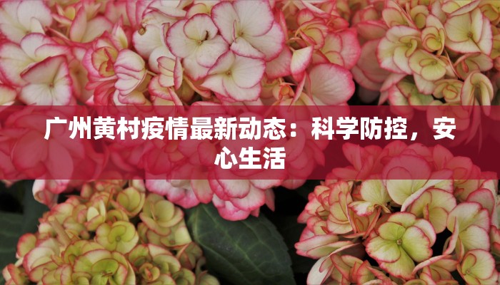 嘉兴县最新疫情通报