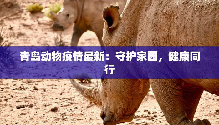 昌都疫情最新通告