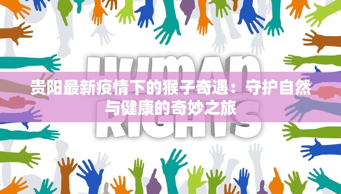 南充北湖最新疫情情况