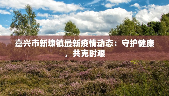 安村镇疫情最新：守护家园，科学防控，共克时艰