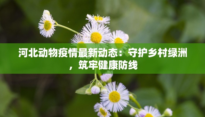 昌平镇疫情最新通告