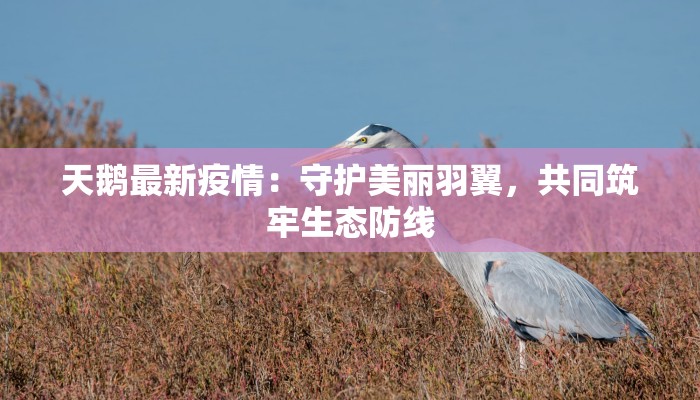 最新疫情爆发瑞丽：守护边陲，携手共克时艰
