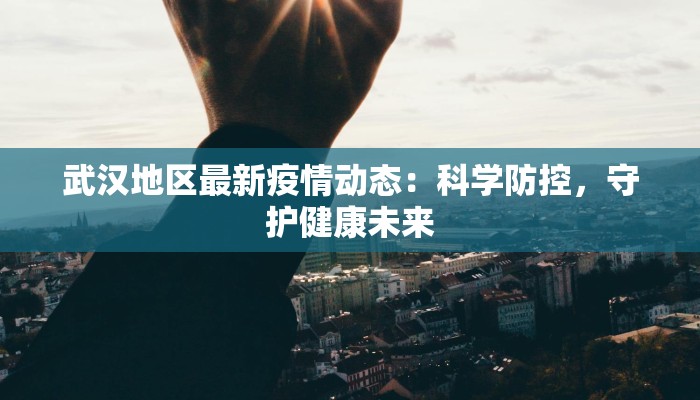 武汉地区最新疫情动态：科学防控，守护健康未来