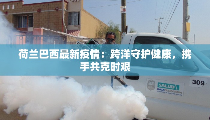 荷兰巴西最新疫情：跨洋守护健康，携手共克时艰