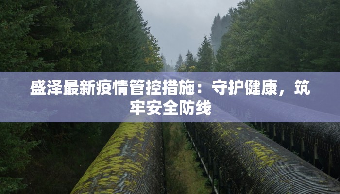 襄阳高速最新疫情防控：守护出行，筑牢安全防线
