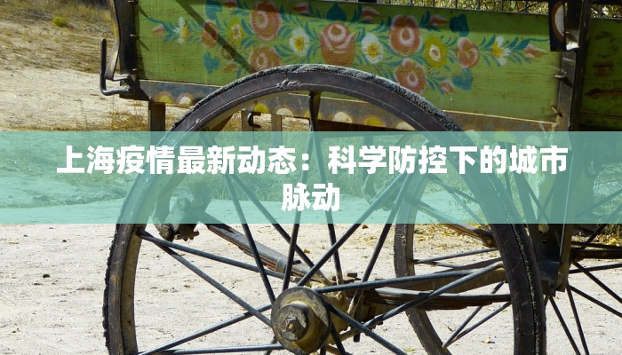 上海疫情最新动态：科学防控下的城市脉动