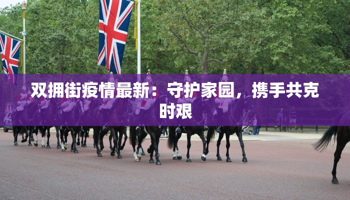 双拥街疫情最新：守护家园，携手共克时艰