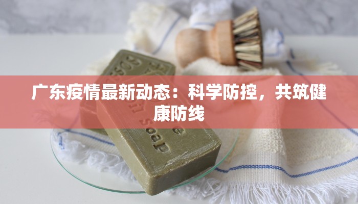 威海威登疫情最新消息：科学防控，守护健康生活