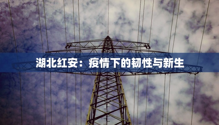 湖北红安：疫情下的韧性与新生