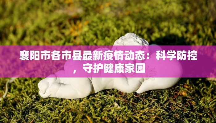 郑州疫情最新情况：科学防控，共克时艰