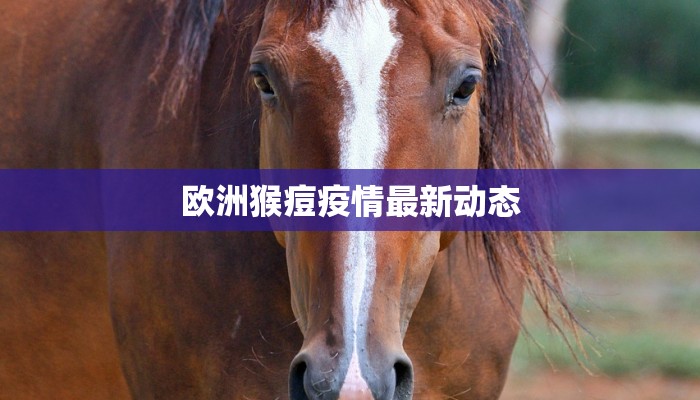 杨浦今天通报疫情最新