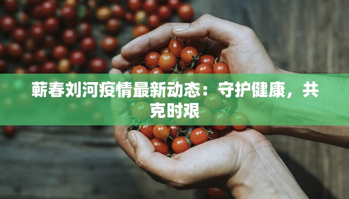 大连昨日最新疫情：科学防控，共筑健康防线