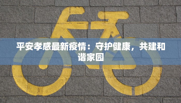 平安孝感最新疫情：守护健康，共建和谐家园