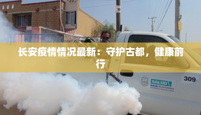 长安疫情情况最新：守护古都，健康前行