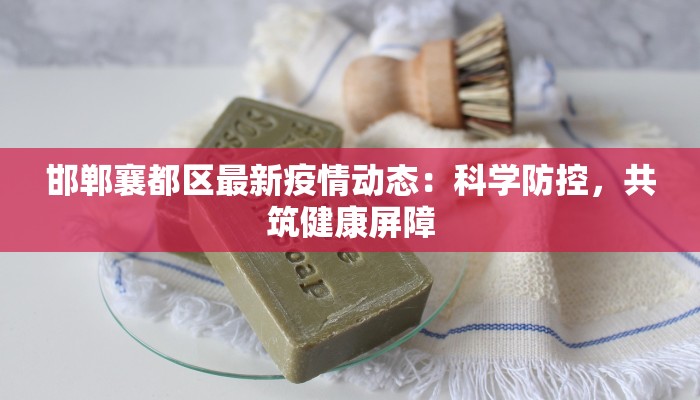 舞动青春，绽放艺术之光——大学生艺术团舞蹈团的魅力之旅