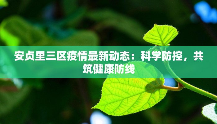 安贞里三区疫情最新动态：科学防控，共筑健康防线