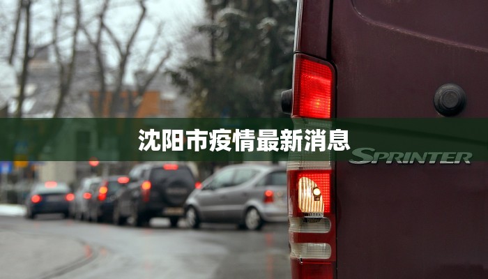 瑞丽最新疫情情况昨天