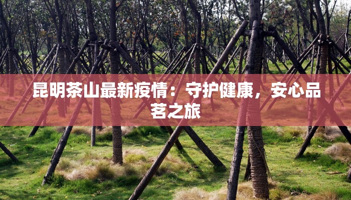 昆明茶山最新疫情：守护健康，安心品茗之旅