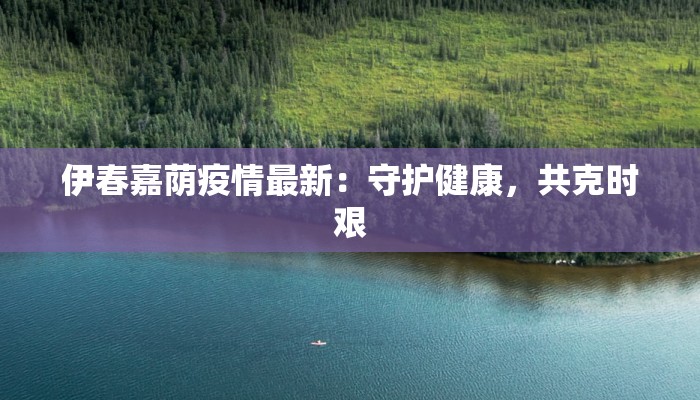伊春嘉荫疫情最新：守护健康，共克时艰