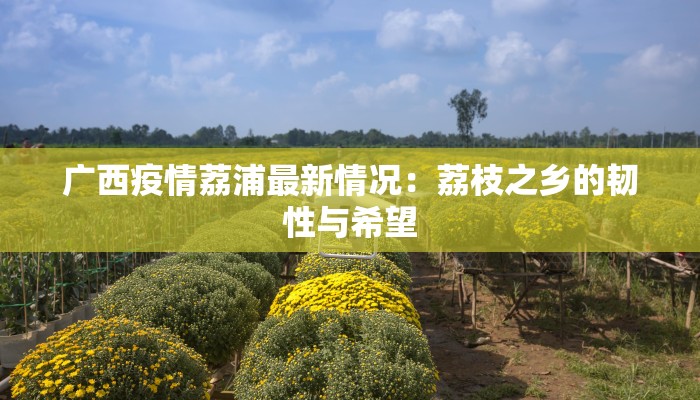 广西疫情荔浦最新情况：荔枝之乡的韧性与希望