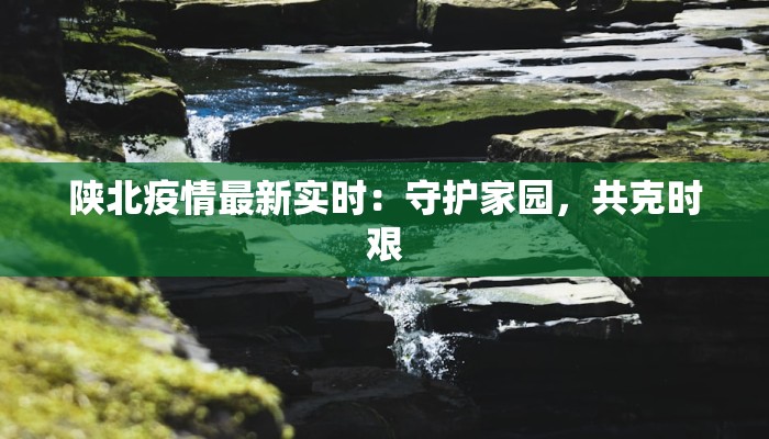 郑州最新疫情下的孕妇守护：温暖与希望同行
