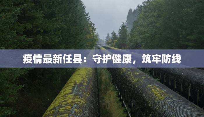 疫情最新任县：守护健康，筑牢防线