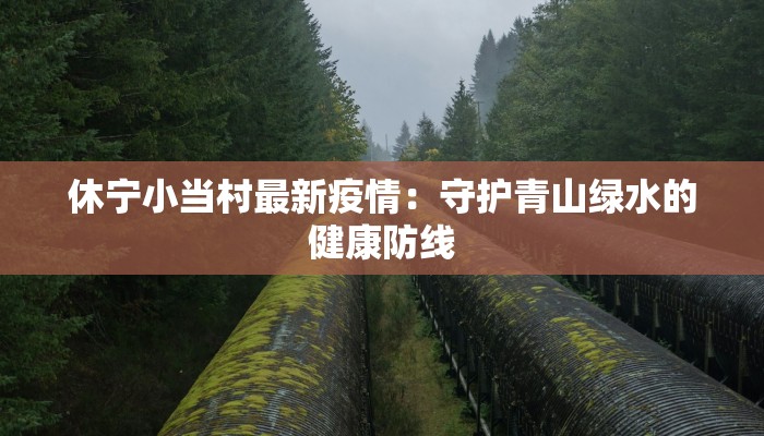 疫情最新客运情况：出行新常态下的智慧之选