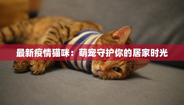 甘肃最新疫情通知最新