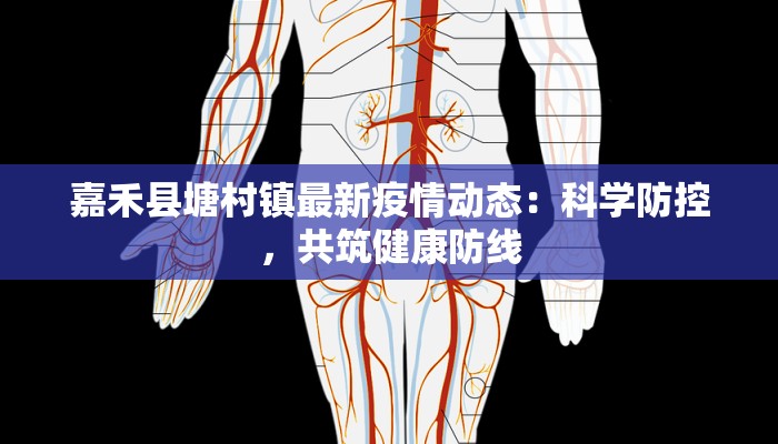 嘉禾县塘村镇最新疫情动态：科学防控，共筑健康防线