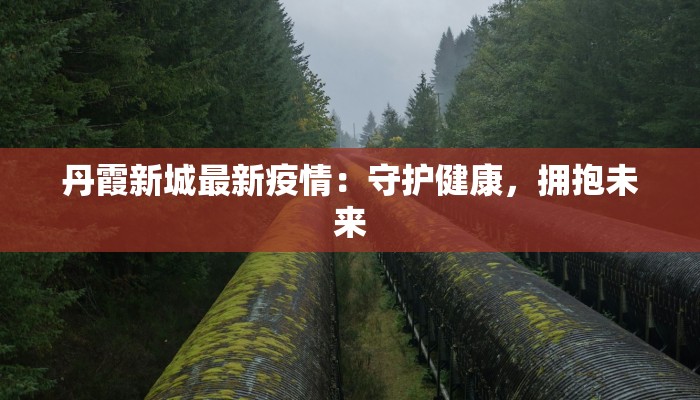 丹霞新城最新疫情：守护健康，拥抱未来