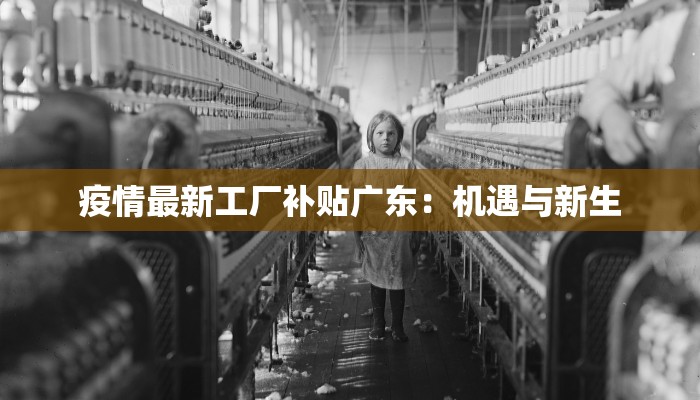 呼市最新疫情风险区：科学防控，守护健康生活