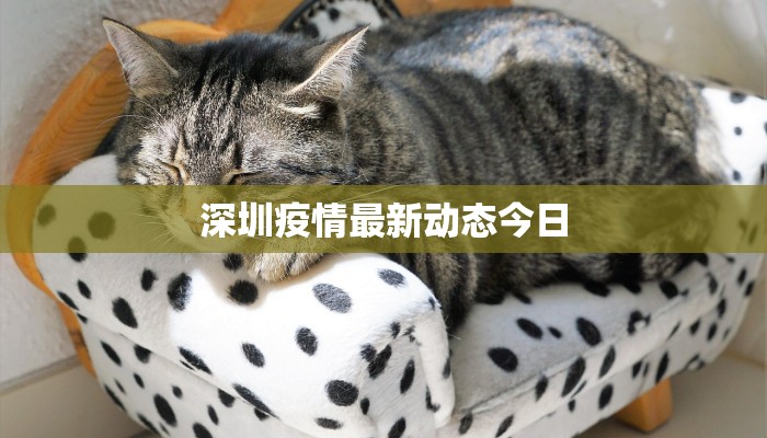 自贡小区最新疫情：科学防控，守护健康家园