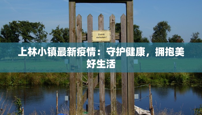 最新疫情郓城：守护健康，携手前行