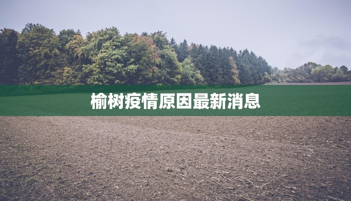 榆树疫情原因最新消息