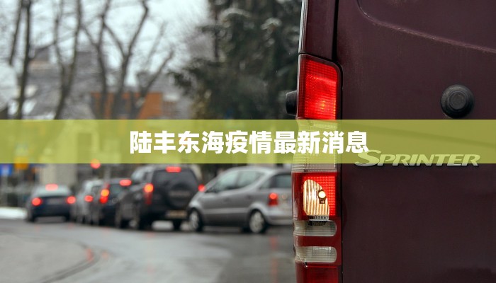 陆丰东海疫情最新消息