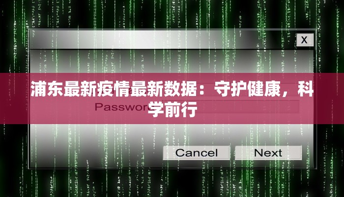 舞动梦想：走进我们的舞蹈教室