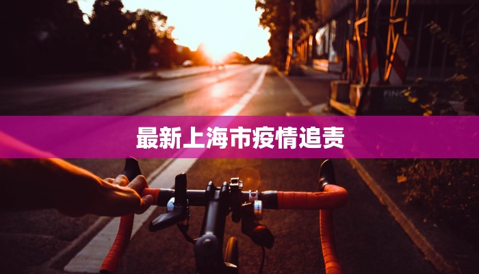 最新上海市疫情追责