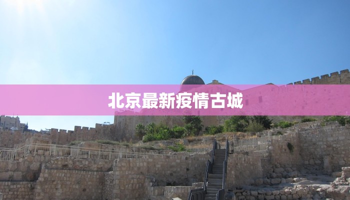 武汉团购大棒骨加盟：开启你的餐饮创业新纪元