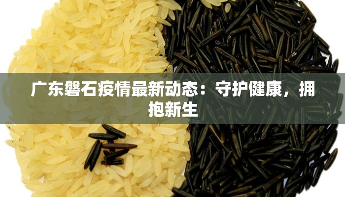 广东磐石疫情最新动态：守护健康，拥抱新生